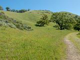 Sunol 006